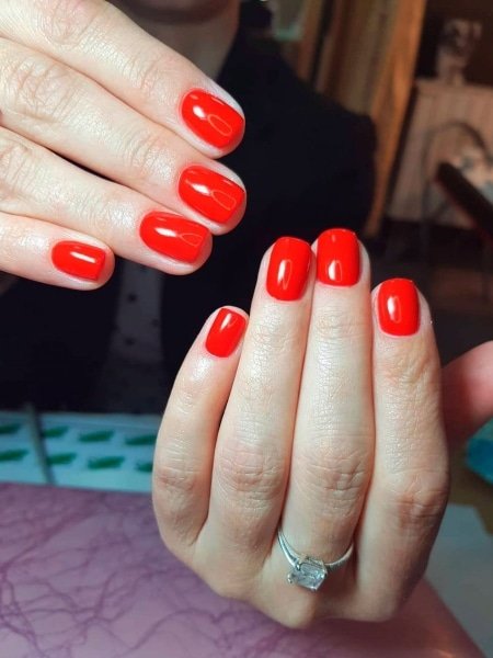 Press On Nails SHORT **GLOSSY** Polish Color
