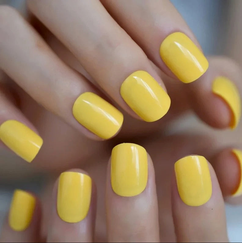 Press On Nails SHORT **GLOSSY** Polish Color